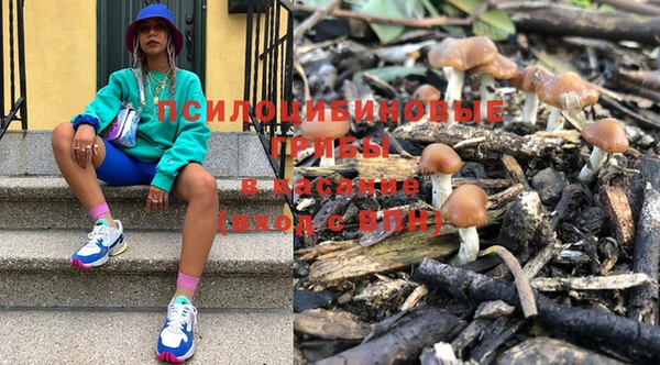 кокс Тутаев